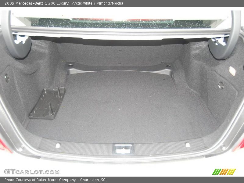 Arctic White / Almond/Mocha 2009 Mercedes-Benz C 300 Luxury