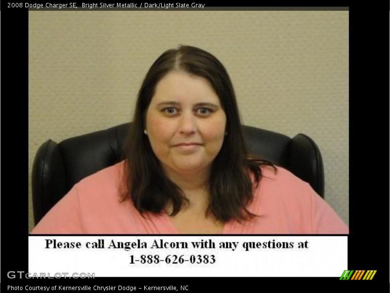 Bright Silver Metallic / Dark/Light Slate Gray 2008 Dodge Charger SE