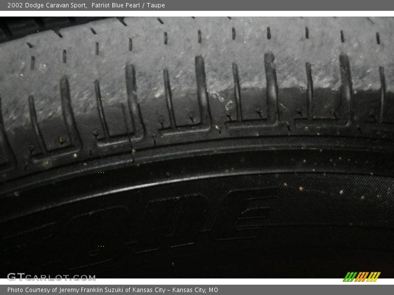Patriot Blue Pearl / Taupe 2002 Dodge Caravan Sport