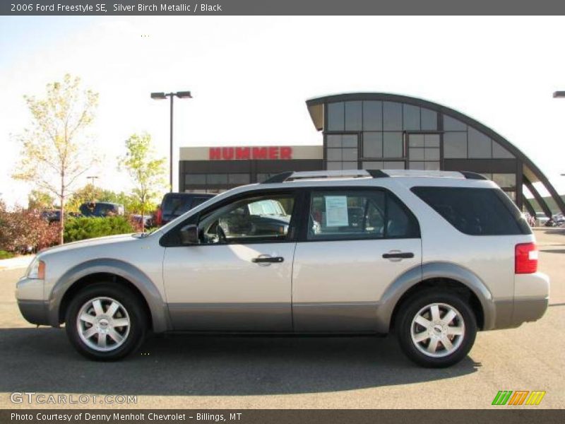 Silver Birch Metallic / Black 2006 Ford Freestyle SE