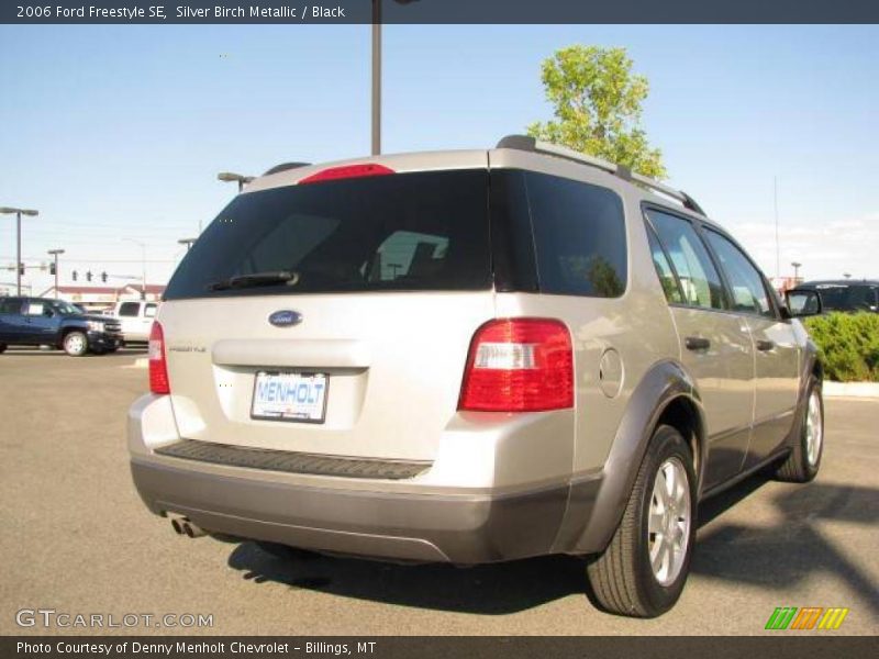 Silver Birch Metallic / Black 2006 Ford Freestyle SE