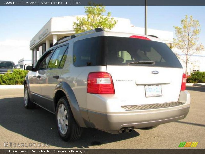 Silver Birch Metallic / Black 2006 Ford Freestyle SE