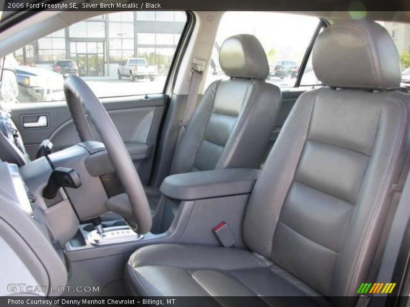 Silver Birch Metallic / Black 2006 Ford Freestyle SE