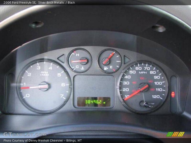 Silver Birch Metallic / Black 2006 Ford Freestyle SE