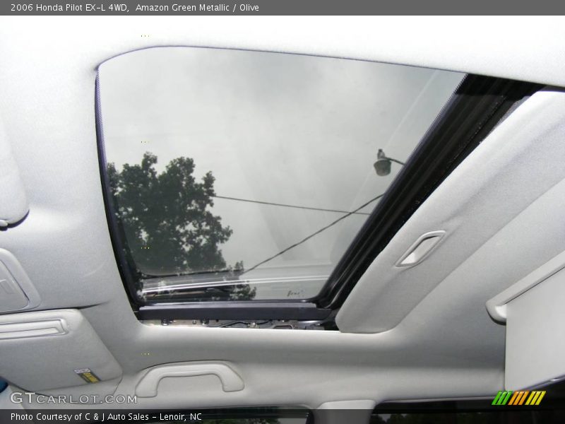 Amazon Green Metallic / Olive 2006 Honda Pilot EX-L 4WD