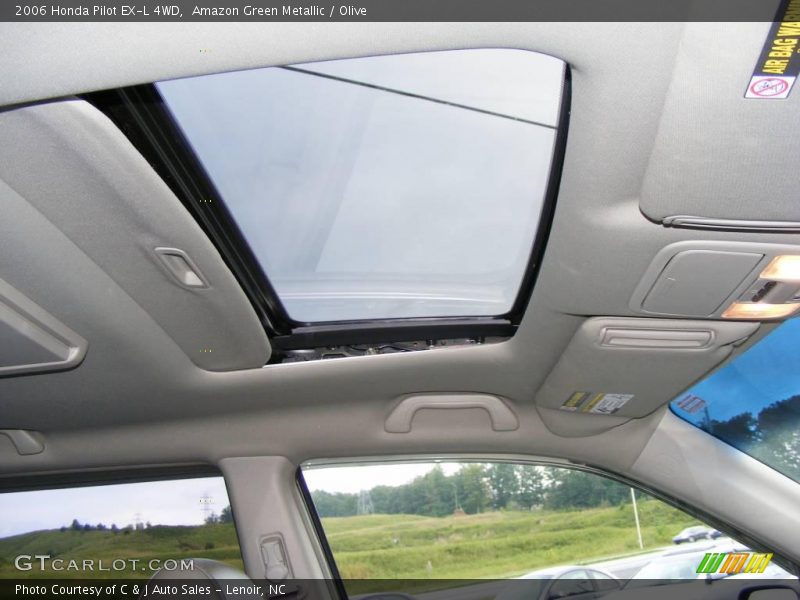 Amazon Green Metallic / Olive 2006 Honda Pilot EX-L 4WD