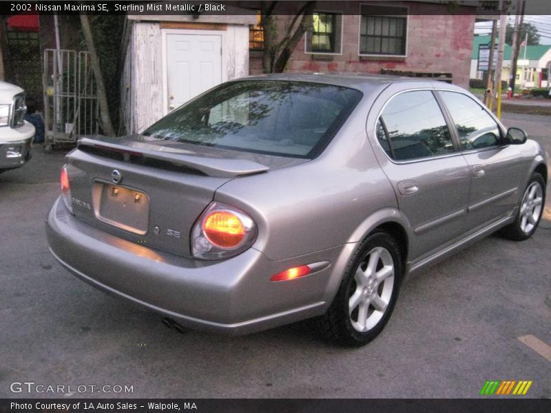 Sterling Mist Metallic / Black 2002 Nissan Maxima SE