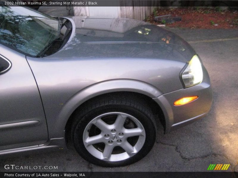 Sterling Mist Metallic / Black 2002 Nissan Maxima SE