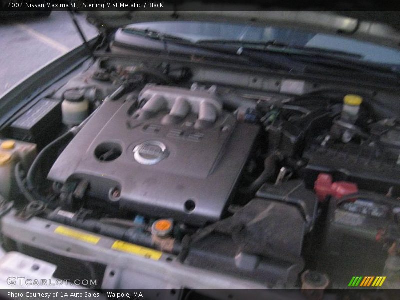 Sterling Mist Metallic / Black 2002 Nissan Maxima SE