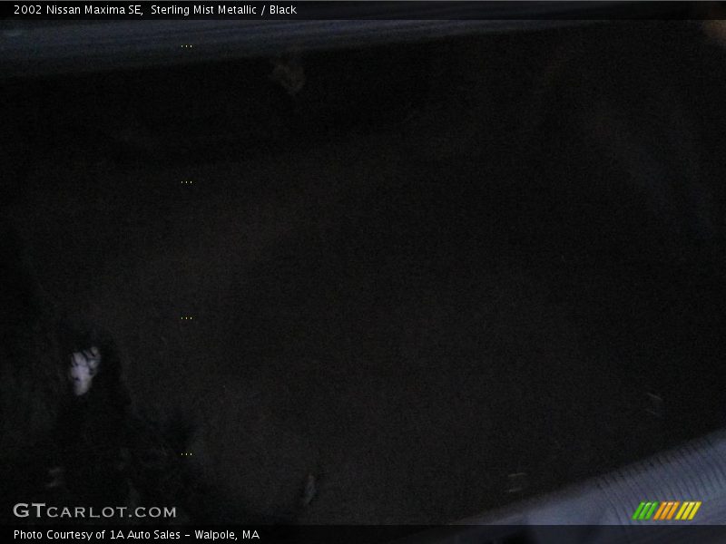 Sterling Mist Metallic / Black 2002 Nissan Maxima SE