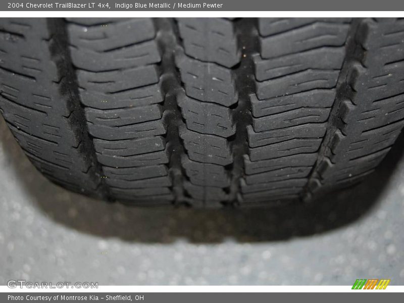 Indigo Blue Metallic / Medium Pewter 2004 Chevrolet TrailBlazer LT 4x4