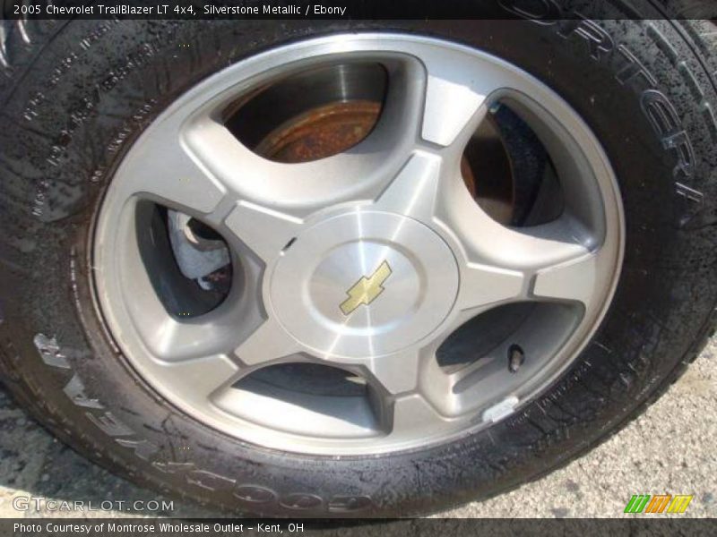 Silverstone Metallic / Ebony 2005 Chevrolet TrailBlazer LT 4x4