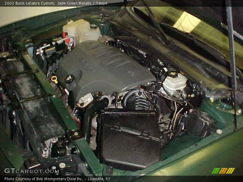 Jade Green Metallic / Taupe 2003 Buick LeSabre Custom