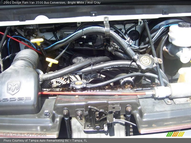 Bright White / Mist Gray 2001 Dodge Ram Van 3500 Bus Conversion