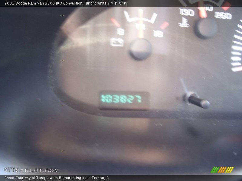 Bright White / Mist Gray 2001 Dodge Ram Van 3500 Bus Conversion
