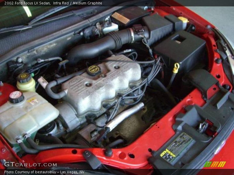 Infra Red / Medium Graphite 2002 Ford Focus LX Sedan
