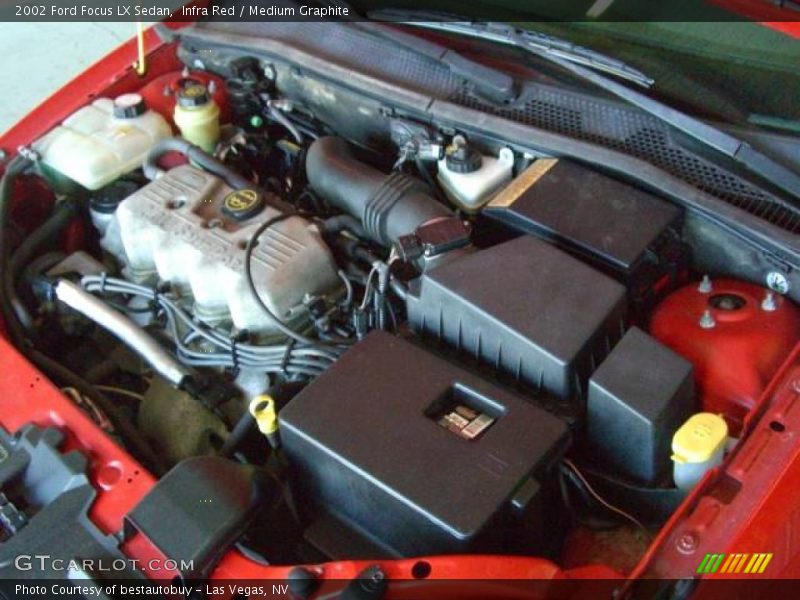 Infra Red / Medium Graphite 2002 Ford Focus LX Sedan