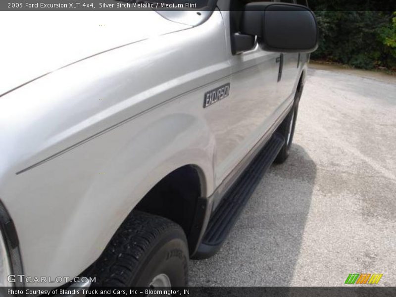 Silver Birch Metallic / Medium Flint 2005 Ford Excursion XLT 4x4