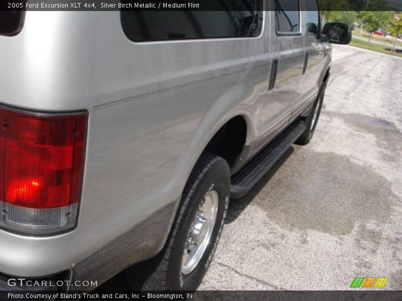 Silver Birch Metallic / Medium Flint 2005 Ford Excursion XLT 4x4
