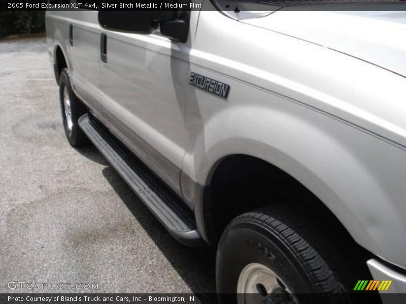 Silver Birch Metallic / Medium Flint 2005 Ford Excursion XLT 4x4