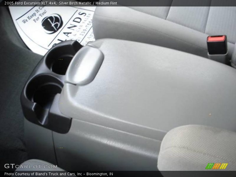 Silver Birch Metallic / Medium Flint 2005 Ford Excursion XLT 4x4