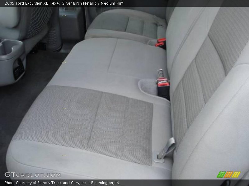 Silver Birch Metallic / Medium Flint 2005 Ford Excursion XLT 4x4
