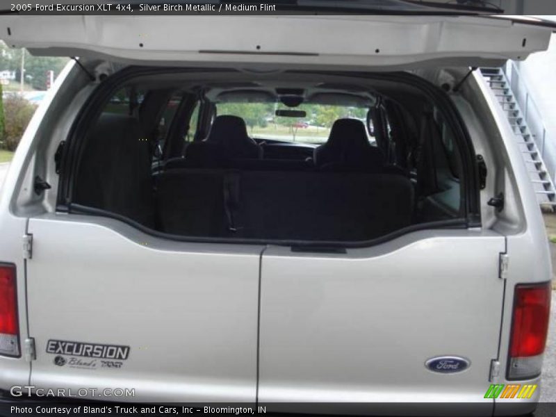 Silver Birch Metallic / Medium Flint 2005 Ford Excursion XLT 4x4