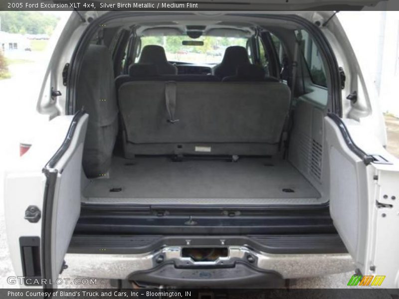 Silver Birch Metallic / Medium Flint 2005 Ford Excursion XLT 4x4