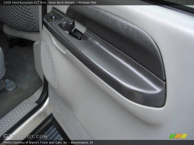 Silver Birch Metallic / Medium Flint 2005 Ford Excursion XLT 4x4