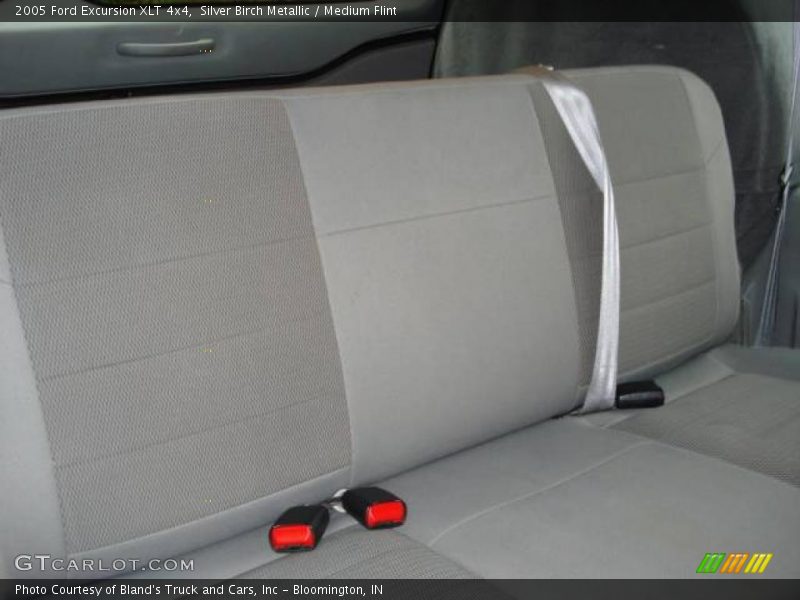 Silver Birch Metallic / Medium Flint 2005 Ford Excursion XLT 4x4