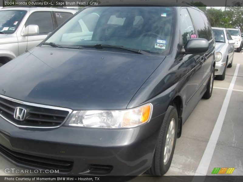 Sage Brush Pearl / Gray 2004 Honda Odyssey EX-L