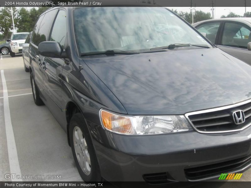 Sage Brush Pearl / Gray 2004 Honda Odyssey EX-L