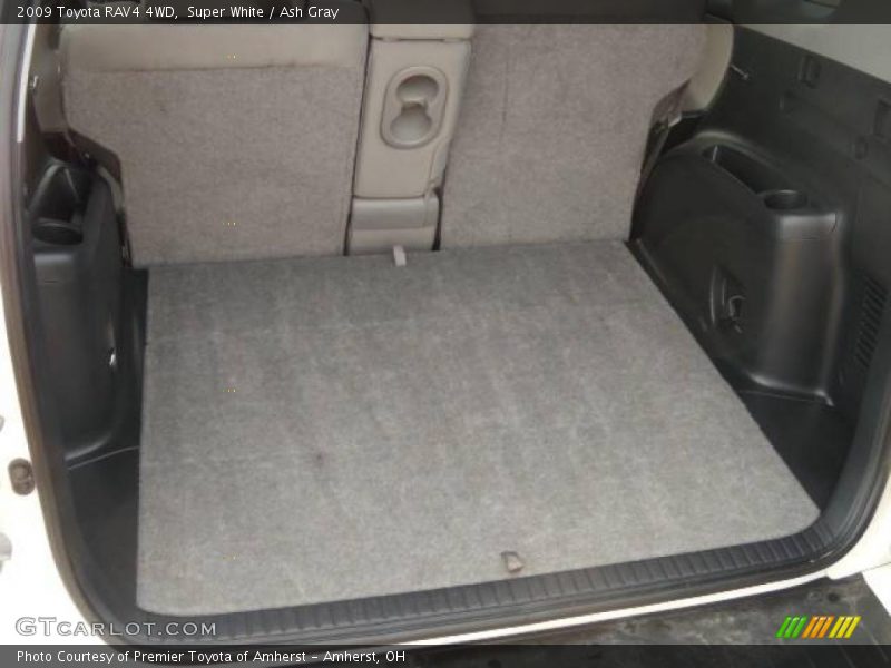 Super White / Ash Gray 2009 Toyota RAV4 4WD
