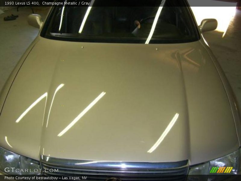 Champagne Metallic / Gray 1993 Lexus LS 400