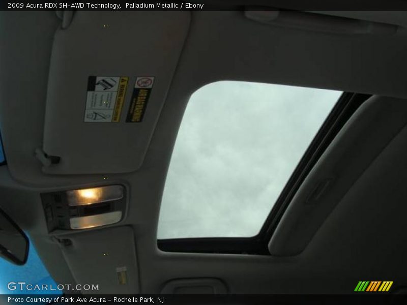 Palladium Metallic / Ebony 2009 Acura RDX SH-AWD Technology