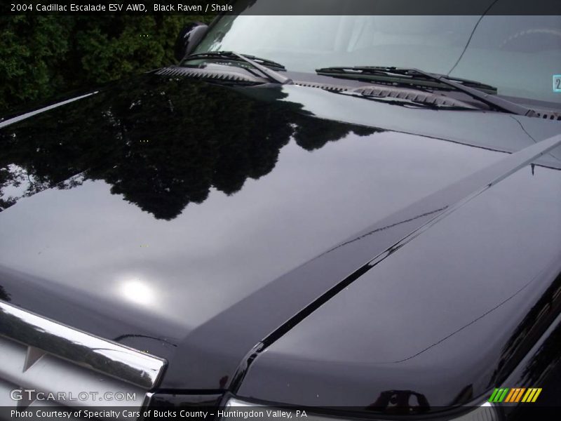 Black Raven / Shale 2004 Cadillac Escalade ESV AWD