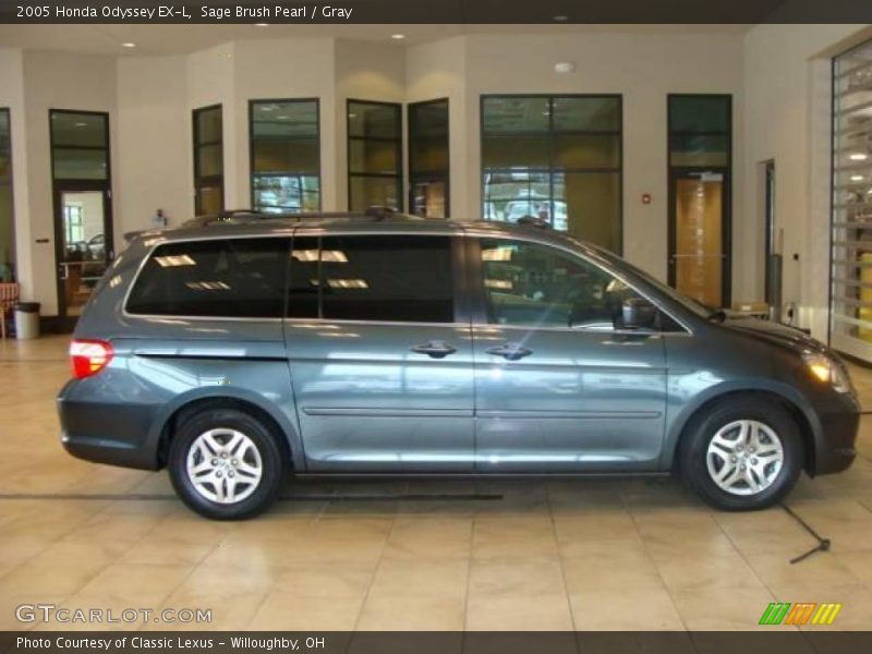 Sage Brush Pearl / Gray 2005 Honda Odyssey EX-L
