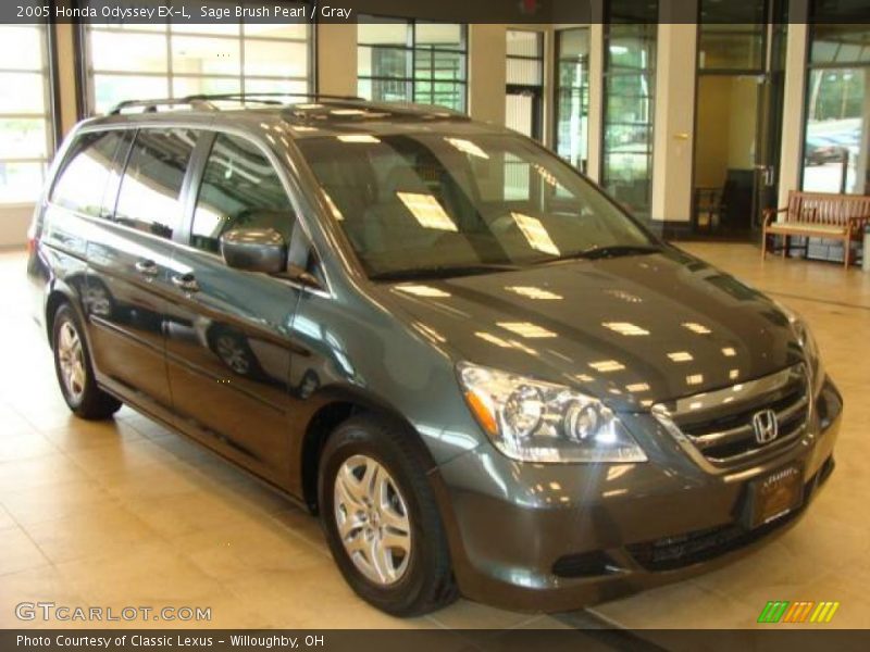 Sage Brush Pearl / Gray 2005 Honda Odyssey EX-L