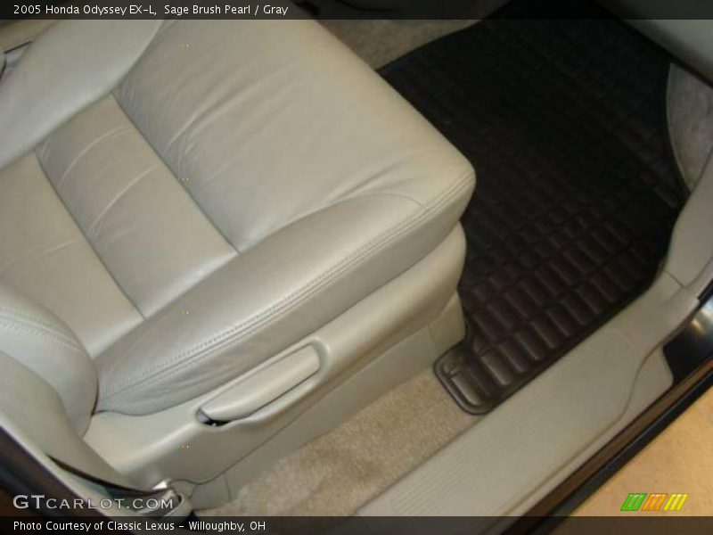 Sage Brush Pearl / Gray 2005 Honda Odyssey EX-L