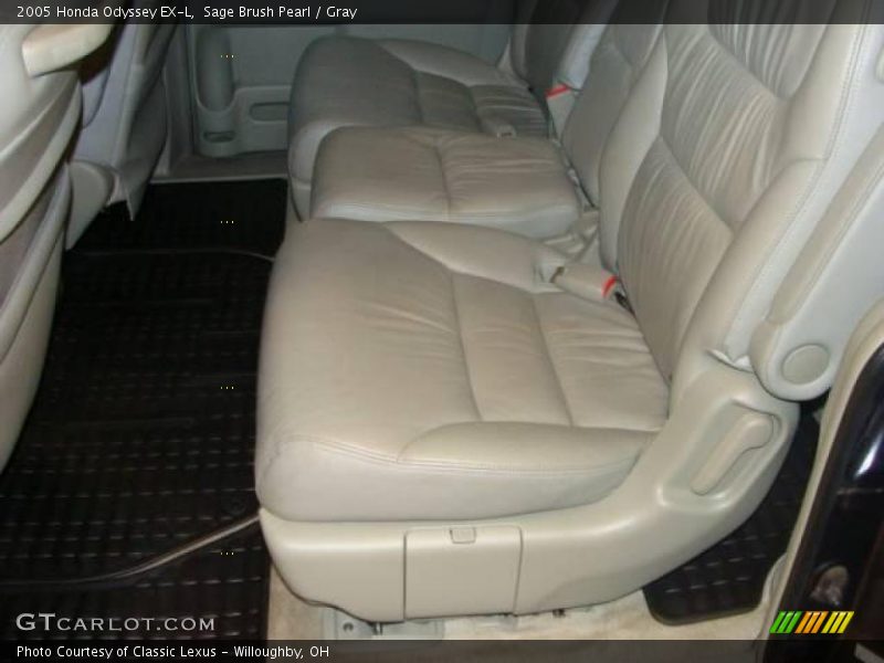 Sage Brush Pearl / Gray 2005 Honda Odyssey EX-L