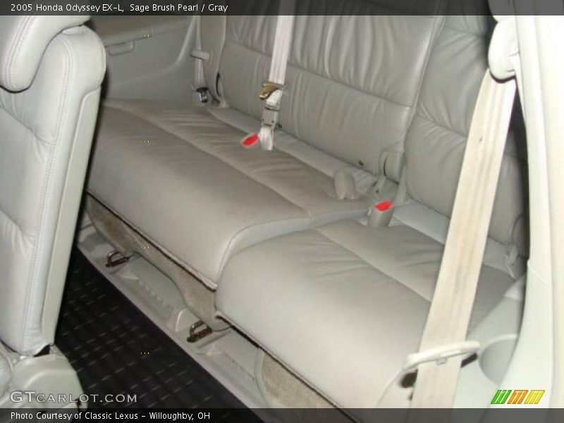 Sage Brush Pearl / Gray 2005 Honda Odyssey EX-L