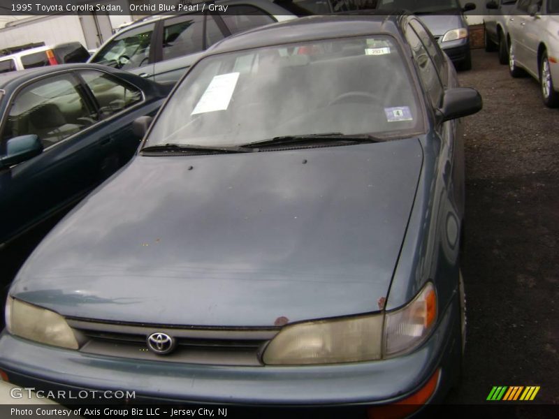 Orchid Blue Pearl / Gray 1995 Toyota Corolla Sedan
