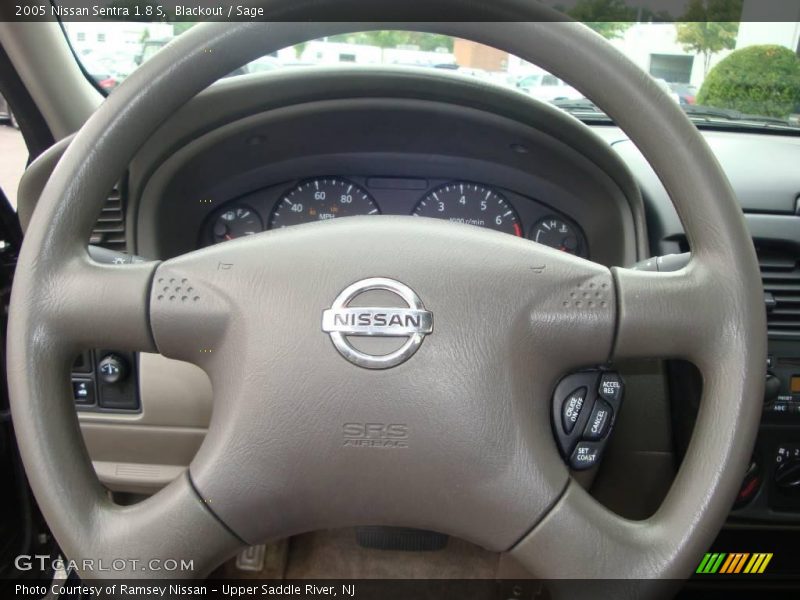 Blackout / Sage 2005 Nissan Sentra 1.8 S