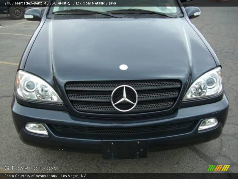 Black Opal Metallic / Java 2003 Mercedes-Benz ML 350 4Matic