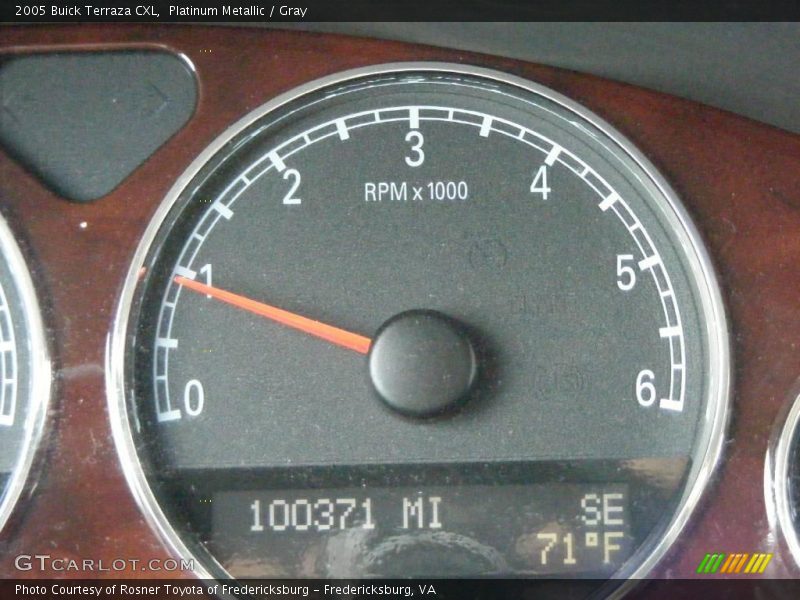 Platinum Metallic / Gray 2005 Buick Terraza CXL