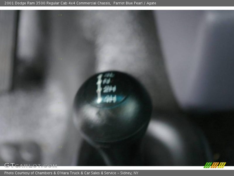 Parriot Blue Pearl / Agate 2001 Dodge Ram 3500 Regular Cab 4x4 Commercial Chassis