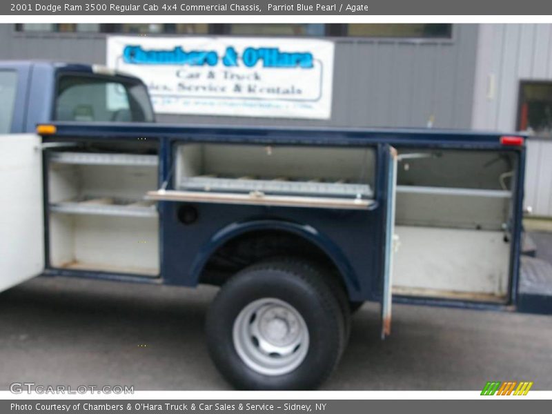 Parriot Blue Pearl / Agate 2001 Dodge Ram 3500 Regular Cab 4x4 Commercial Chassis