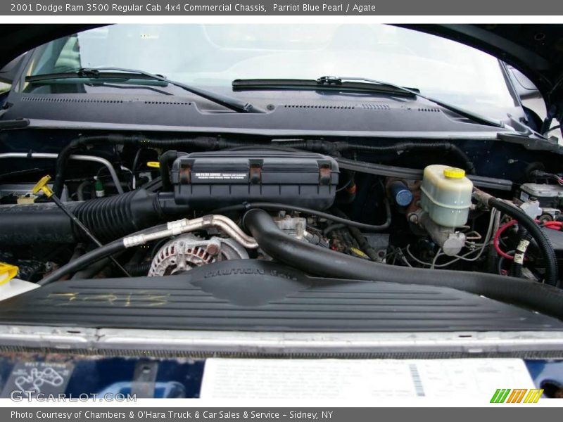 Parriot Blue Pearl / Agate 2001 Dodge Ram 3500 Regular Cab 4x4 Commercial Chassis