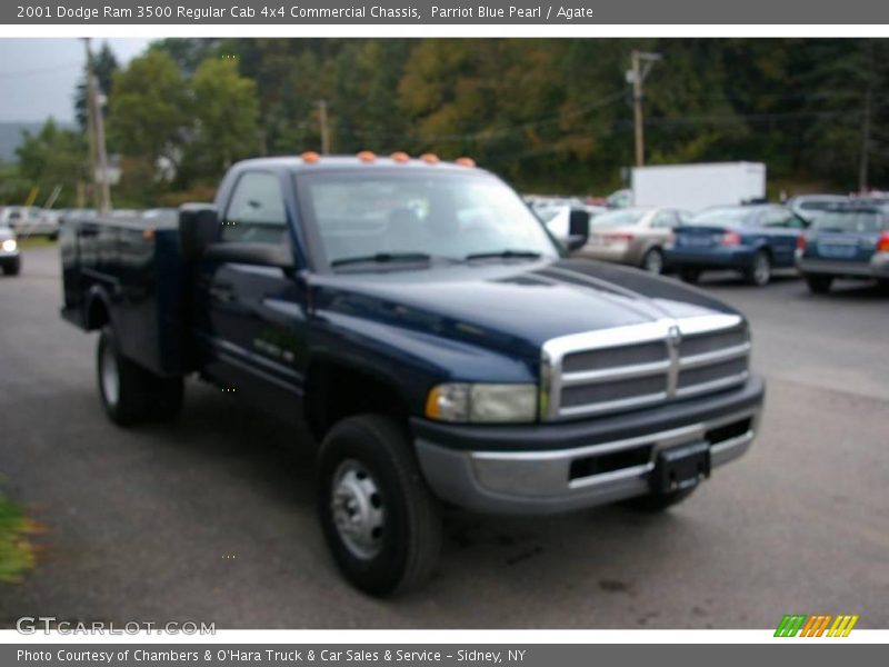 Parriot Blue Pearl / Agate 2001 Dodge Ram 3500 Regular Cab 4x4 Commercial Chassis