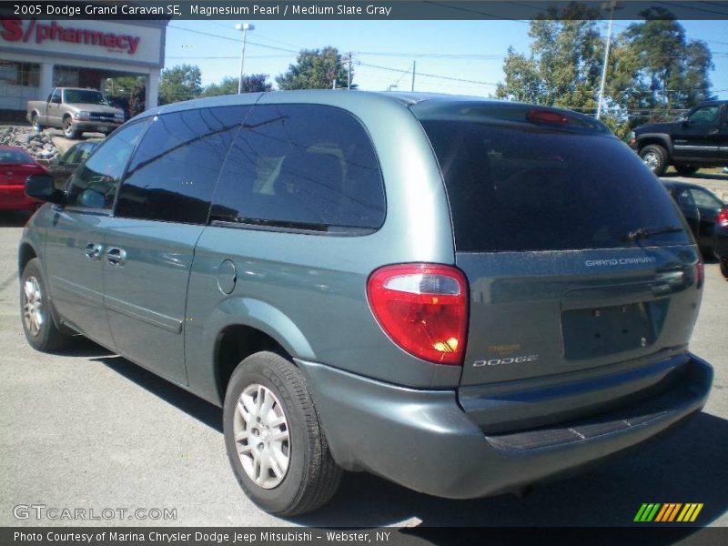 Magnesium Pearl / Medium Slate Gray 2005 Dodge Grand Caravan SE
